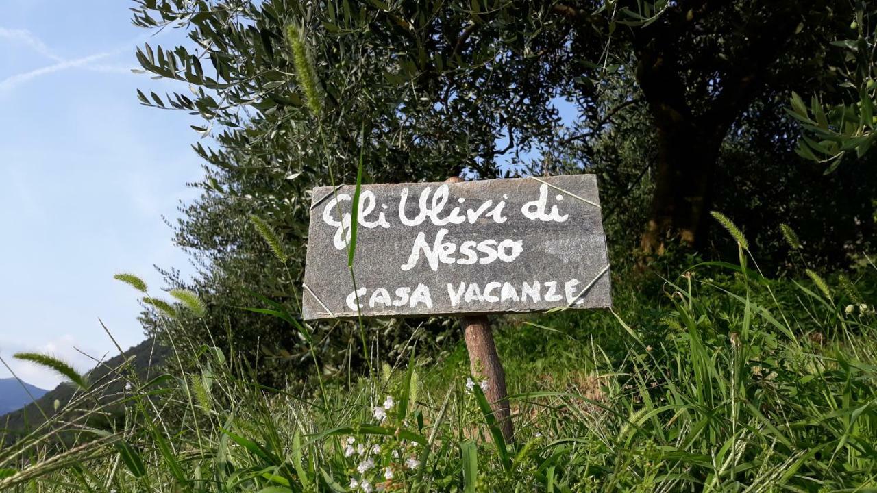 Gli Ulivi Di Nesso Villa Exterior photo